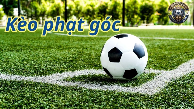 Các loại hình cược phạt góc phổ biến trên bảng kèo nhà cái Các loại hình cược phạt góc phổ biến trên bảng kèo nhà cái