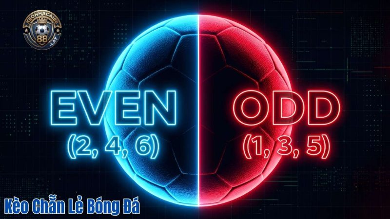 Kèo Chẵn Lẻ Bóng Đá Là Gì? Kinh Nghiệm Chốt Kèo Chuẩn Hôm Nay Kèo Chẵn Lẻ Bóng Đá Là Gì? Kinh Nghiệm Chốt Kèo Chuẩn Hôm Nay